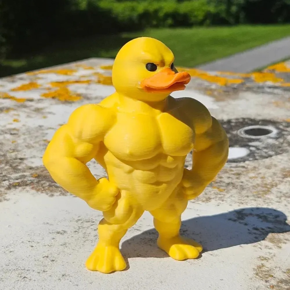 รูปปั้นเป็ดกล้ามเนื้อ - ของตกแ - Home Decor Duck บทวิจารณ์และราคา