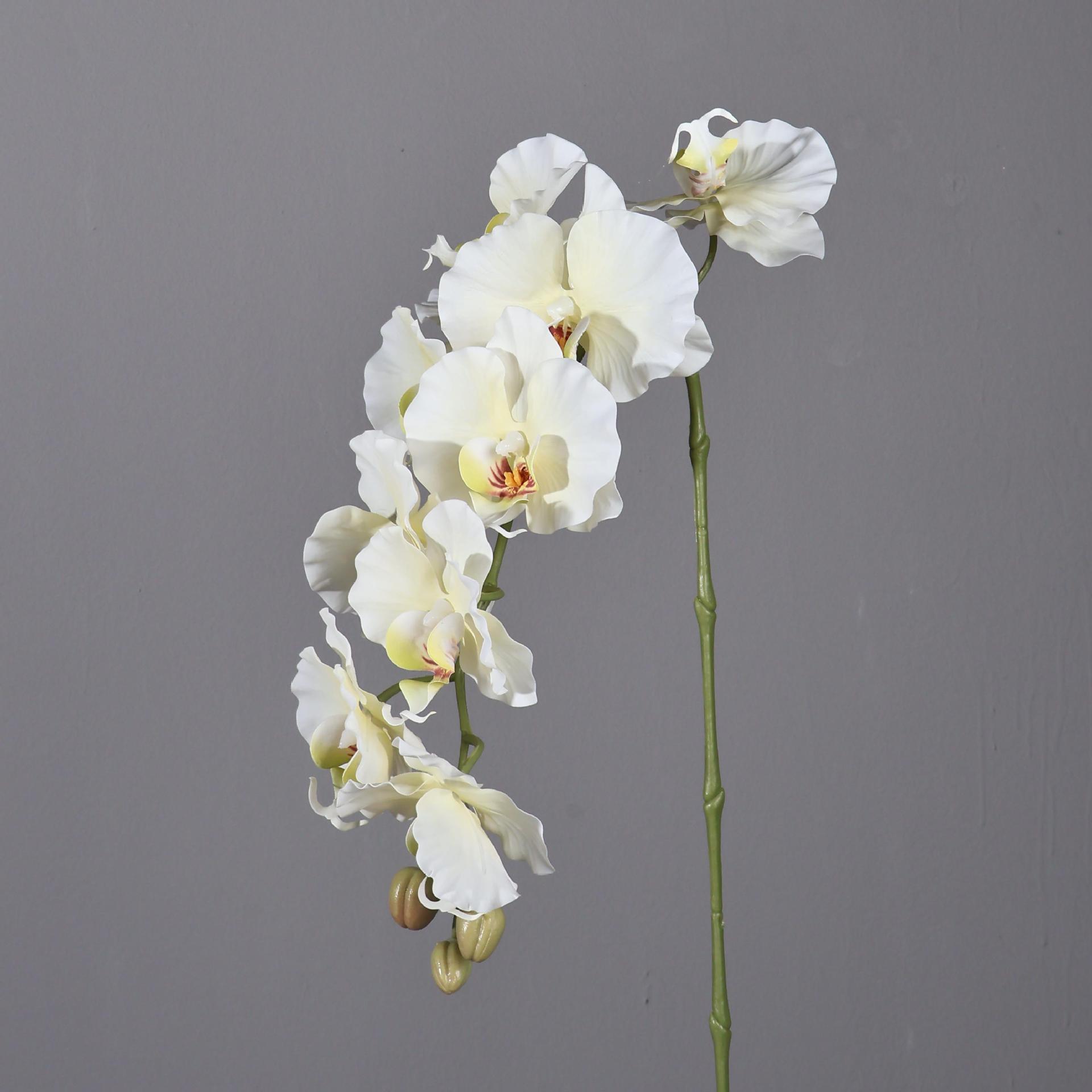 กล้วยไม้ฟาแลนนอปซิสประดิษฐ์สไต - Home Decor Korea บทวิจารณ์และราคา
