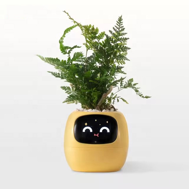YY Wifi Ai Planter ระบบเตือนกา - Home Decor Ai Free บทวิจารณ์และราคา